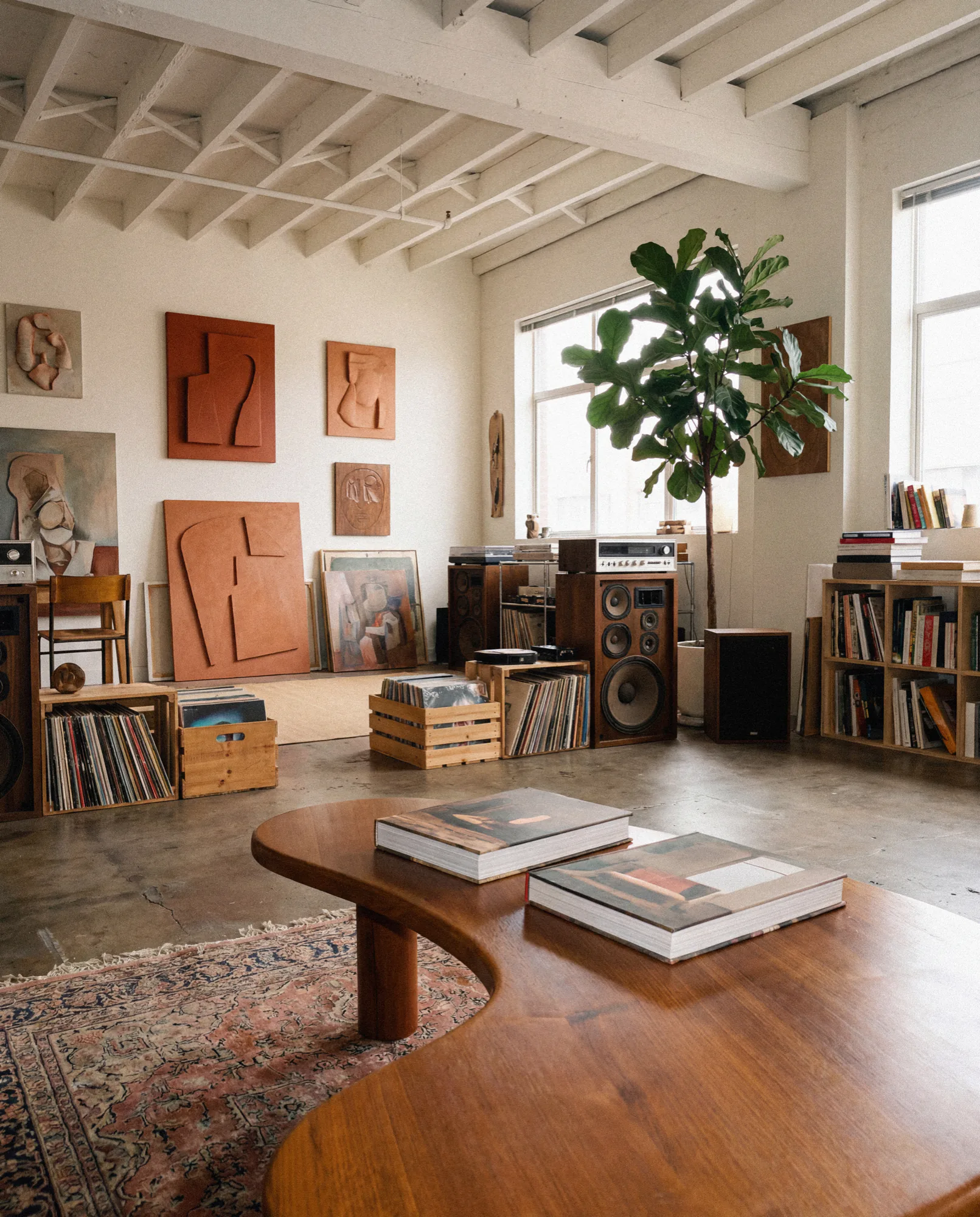 Sunlit loft with a curved wooden coffee table, books, records and a fig tree