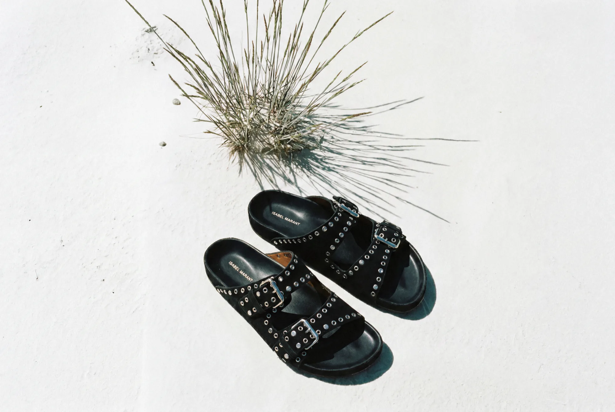 Sandales noires cloutées sur une surface blanche à côté d’une plante séchée
